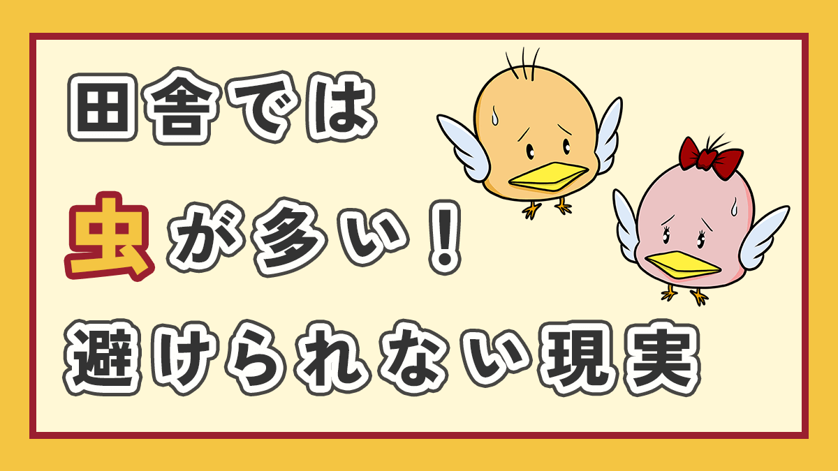 田舎では虫が多いアイキャッチ画像、右側にオリジナルキャラクターが二体