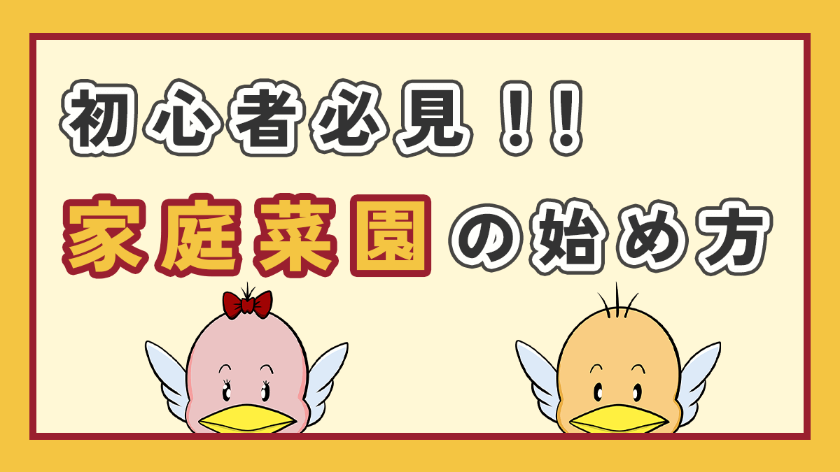家庭菜園の始め方のアイキャッチ画像、下側左右にオリジナルキャラクター